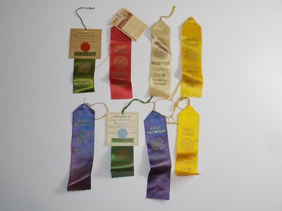 Lot of 8 Vintage 4-H Club Ribbons Webster County Fair Providence KY