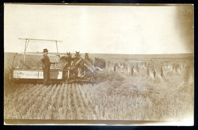 ALBERTA 1910s Farming McCormick Thresher Horses. Real Photo Postcard