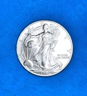 2003 American Eagle Authentic .999 Pure, Fine 1 oz. Silver Dollar