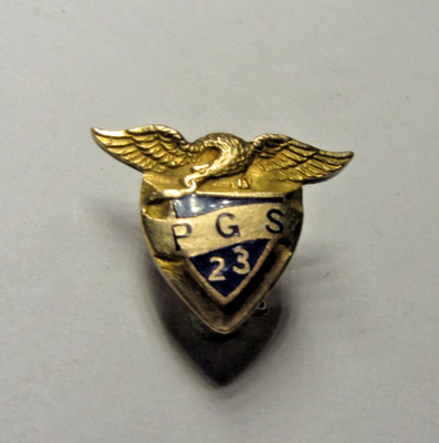 : Vintage Gold-Filled Eagle Wings Enamel Shield Pin PGS 23 Fraternal Badge