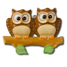 Owl on Branch Family of 2 3 4 5 6 Personalized  Christmas Ornament