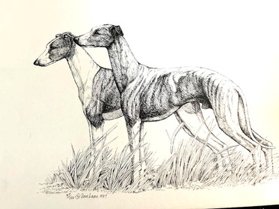 whippet black and white print 11 x 17 signed/numb by van loan