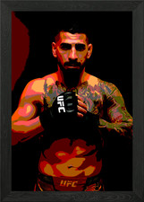 UFC Fighter Portrait Framed Wall Art Poster Canvas Print Picture