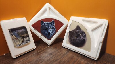 Bradford Exchange Northern Light Eastern Moon Spirit Wolf Shield Call Wild C Lot