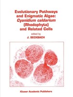 Joseph Seckbach | Evolutionary Pathways And Enigmatic Algae | Buch | Englisch