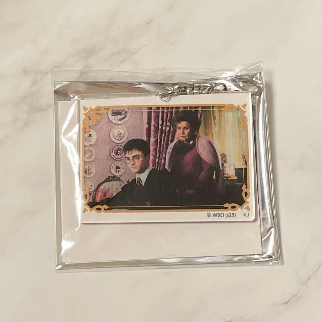 Harry Potter acrylic keychain ⑨
