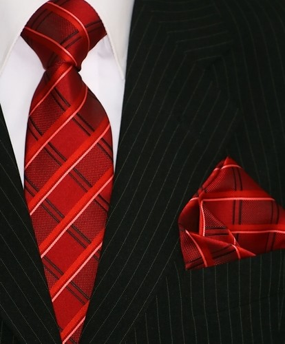 WILVORST Set: Krawatte Und Einstecktuch In Beige / Grau - Foto 11