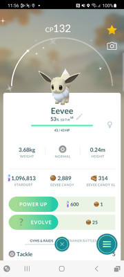 Shiny Eeeve - je eine für alle Varianten - Eingetragener Handel am selben Tag