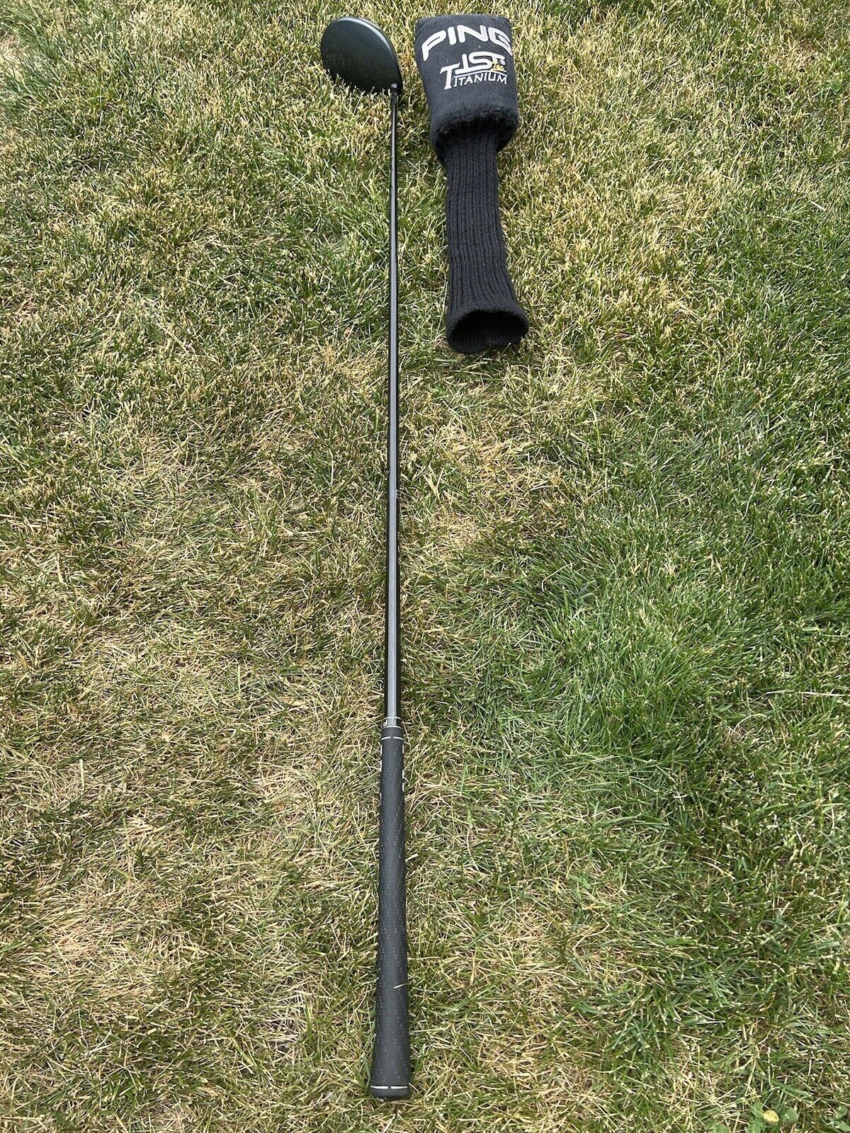Picture 4 of 7