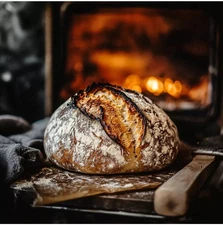 ITALIAN SOURDOUGH STARTER + How to make a rustic sourdough loaf! Free Shipping!