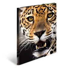 HERMA Elastic Folder Animals with Leopard Motif, A4, Sturdy Plastic, with Inner