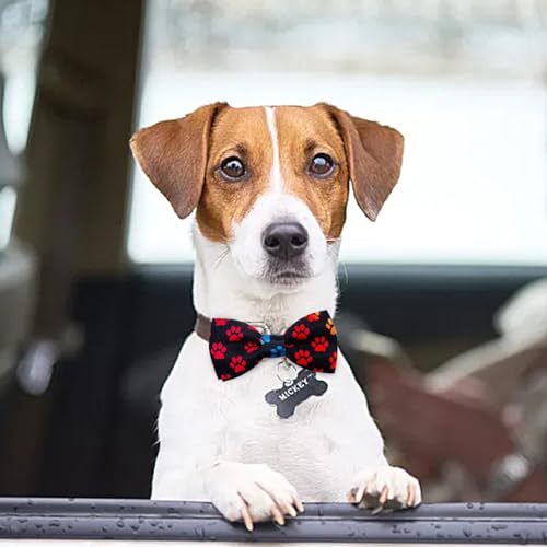 Paw Bone Printed Small Dogs Bowties Collar Charms Bows S/M (3.8*1.8) 10pcs/lot - Bild 6 von 7