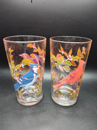 Arcoroc France Bird Glasses Set 2 Woodpecker/Cardinal Blue Jay/Oriole Songbirds