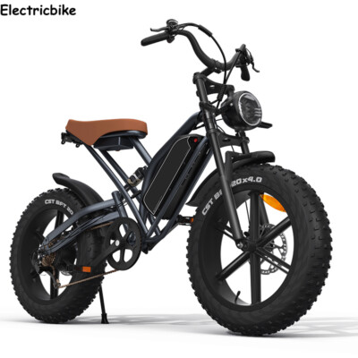 Alibaba Mario Ebike Mario Bird Vintage E-bike 250W Mid Drive Motor