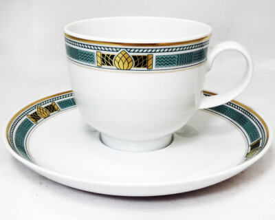 FIRENZE by Hutschenreuther 5 Piece Place Setting NEW NEVER USED