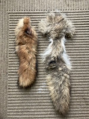 RED FOX TAIL & Coyote Tail Combo Fly Tying Material Natural Fur Hair Fishing