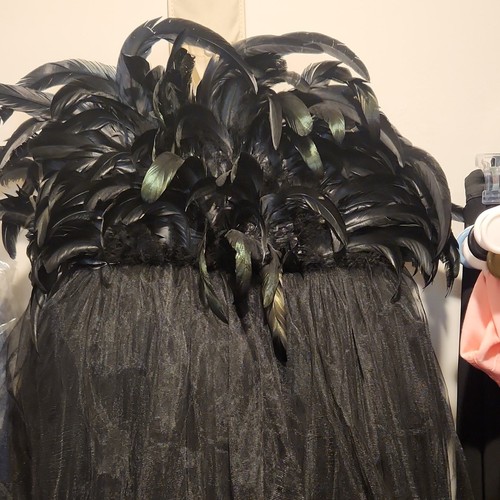 Black Feathered Gothic Cape Adult Unisex Medieval Costume
