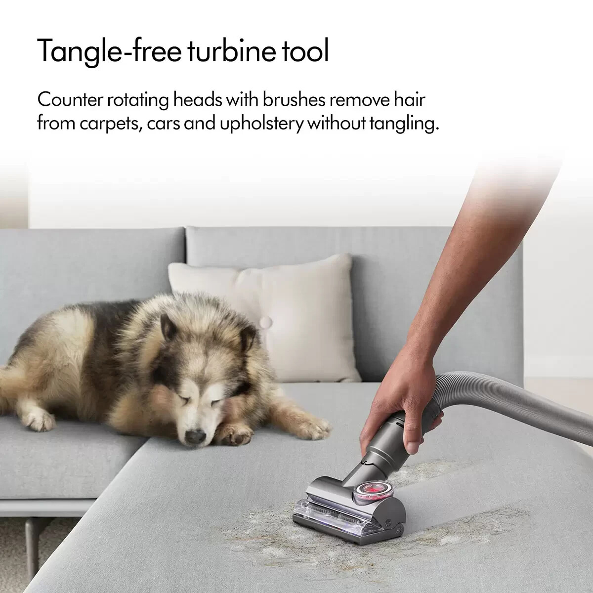 Dyson Ball™ Animal Upright Vacuum Cleaner with Whole Home Cleaning Kit