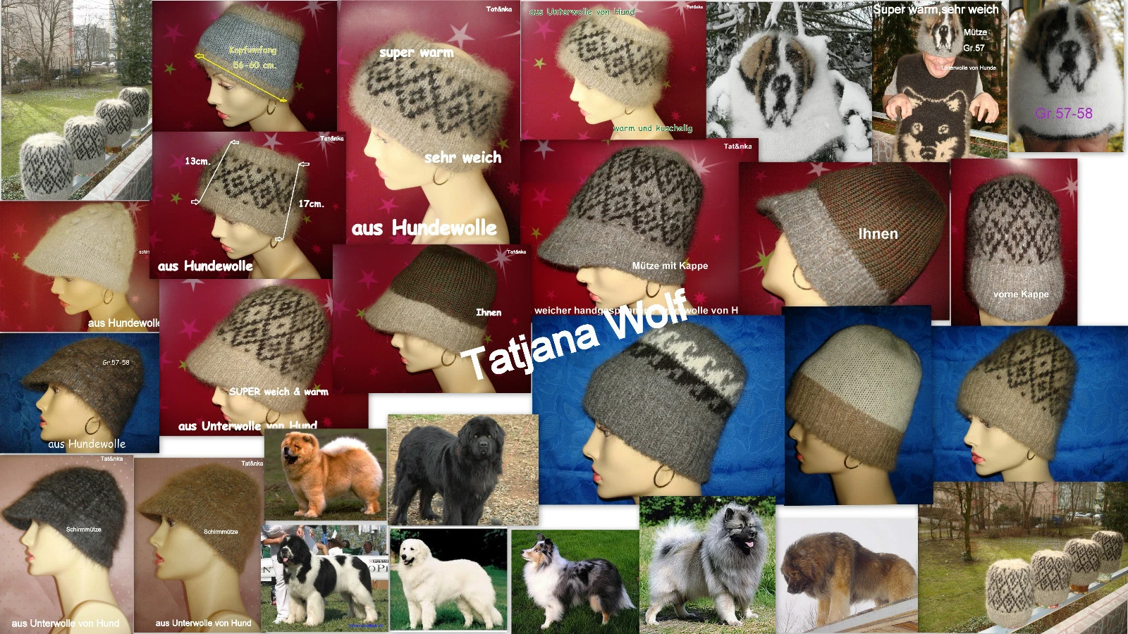 Bild 7 von 11