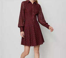 Ann Taylor Lace Flare Shirtdress, size 6