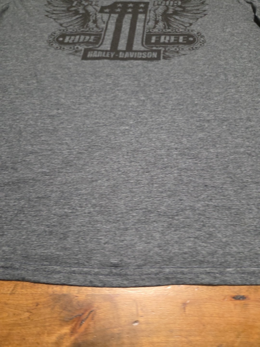 Harley Davidson Shirt San Jacinto Pasadena Texas Ride Free Gray L image 5