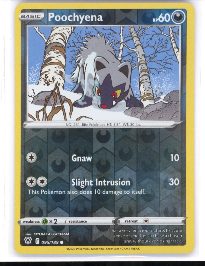 Poochyena 95/189 Reverse Holo Rare TCG Pokemon NM 0119#170 | eBay