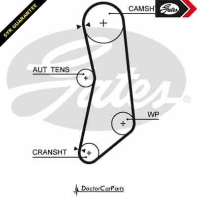 Cam Timing Belt FOR FIAT LINEA 07->ON CHOICE2/2 1.4 Petrol 110 323 350 A1.000