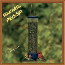 DROLL YANKEES YANKEE WHIPPER SQUIRREL PROOF BIRD FEEDER YCPW-180 FREE SHIPPING!