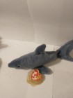 Beanie Baby Ty Crunch Shark 1996 with tags — photo 1