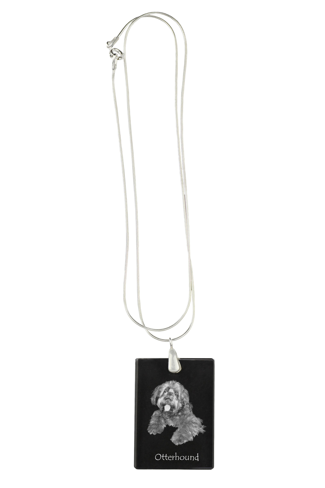Otterhound - Crystal pendant with dog| silver necklace with photo| personalised view 2