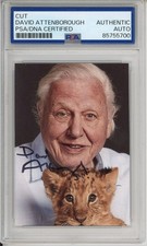 DAVID ATTENBOROUGH SIGNED AUTOGRAPH PLANET EARTH LION PHOTOGRAPH PSA DNA COA