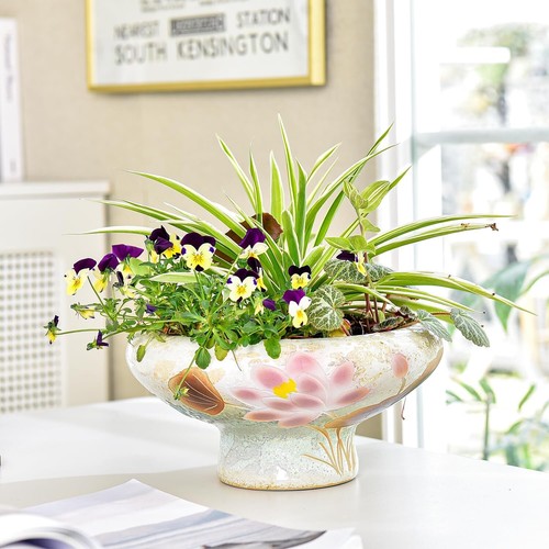 9.6 Inch Succulent Plant Pots, Pretty Hand Painted Ceramic Planter with Drainage