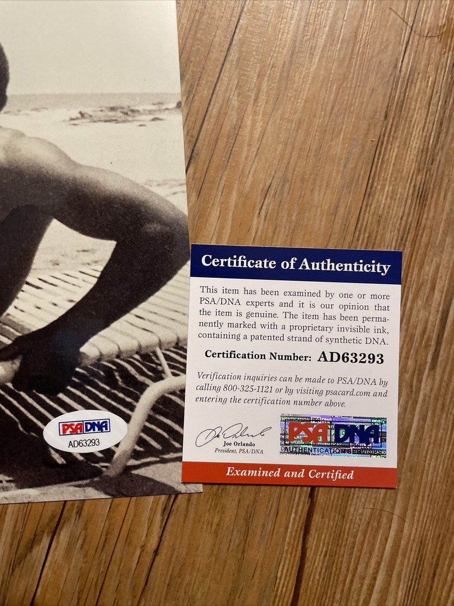 Natural Order ジャッジFoil サイン入り ミントモール / MINT 福岡店 / EP2025 Jリーグ オフィシャル