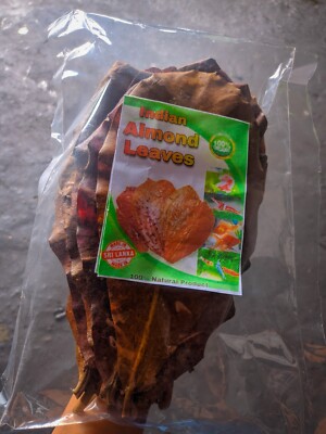 Indian Almond Leaves (Dried Catappa) Large 20 cm-25cm Aquarium, Fish & Shrimp