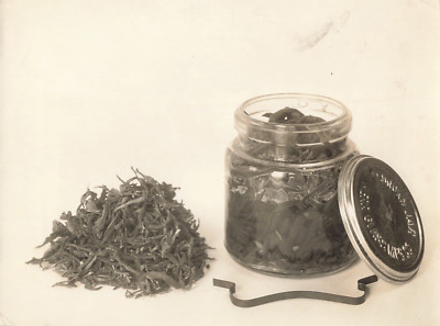 Kerr Glass Mfg Co 1910s Press Photo Food Equipment Mason Jars  *P158a