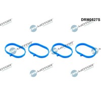 Dr.Motor Automotive DRM0527S Dichtungssatz, AnsaugkrüMmer