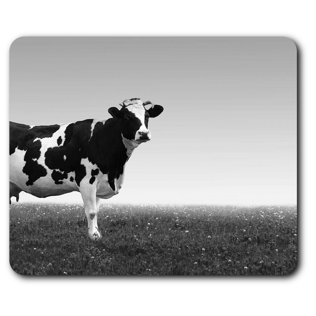 Afbeelding 1 van 8
