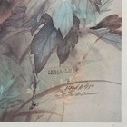 Foto 3 di 4
