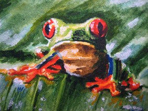 Watercolor-Painting-Red-Eyes-Green-Frog-Nature-ACEO-Art