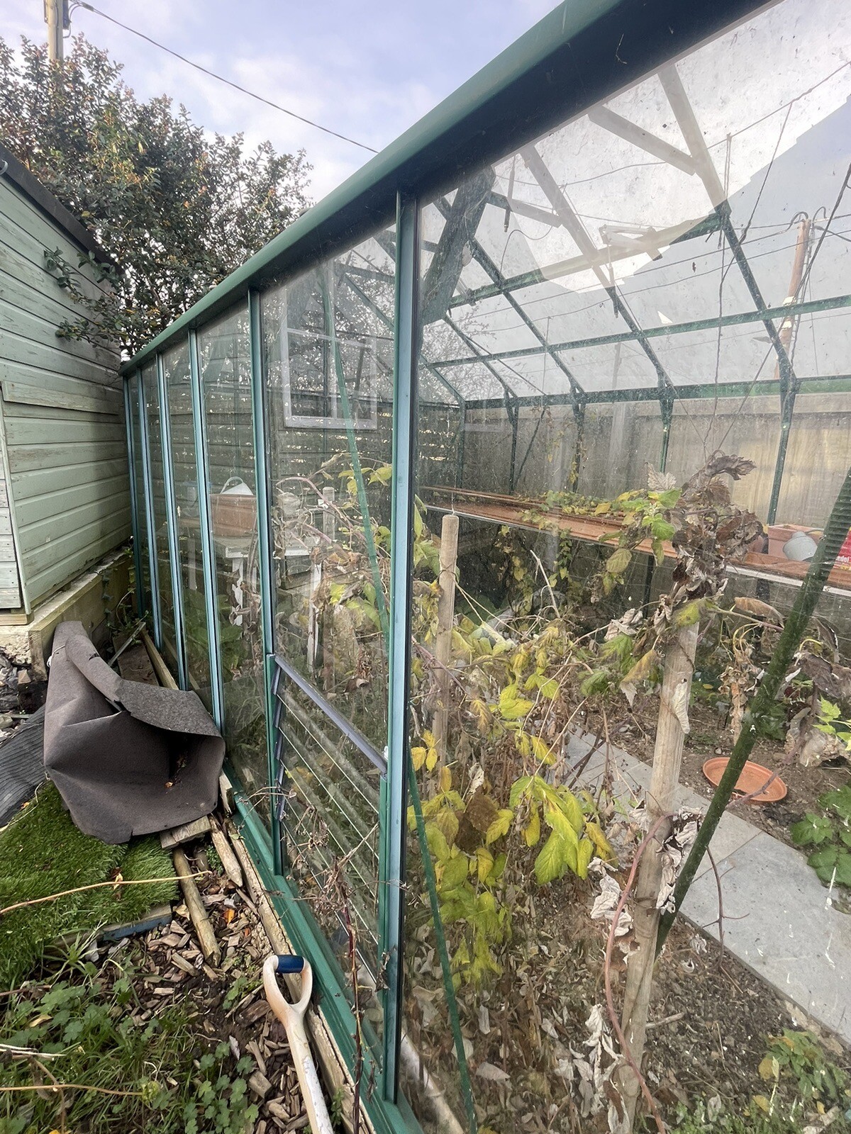 rhino greenhouse used eBay