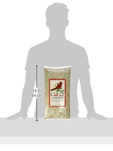 Safflower Seed For Birds 5 Pound Pack Natural No Squirrels Or Blackbirds