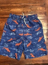 Lands End Boy Swim Trunk Size Medium.
