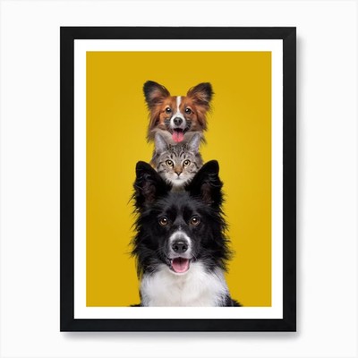 Drei Hunde und eine Katze Kunstdruck gerahmt Wandbild Poster Leinwanddruck Bild