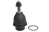 Febi Bilstein Traggelenk FüHrungsgelenk 194969 FüR Ford Ranger Cab Pickup Crew