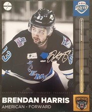 BRENDAN HARRIS - Signed 10x8 Photograph - SPORT - ICE HOCKEY NOTTINGHAM PANTHERS