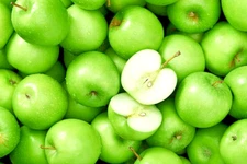 5 Granny Smith Apple Fruit Tree Scions Cuttings 6-10 in for Rooting and Grafting