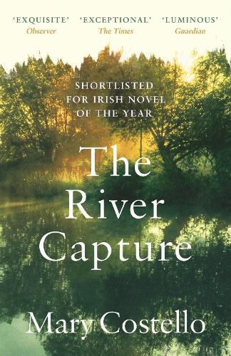 Thumbnail - Mary Costello The River Capture (taschenbuch)