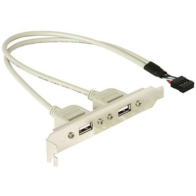 Delock Slotbracket 1x internal USB 5pin > 2x USB2.0 external PC-Slotblech 1 St.