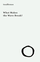What Makes The Wave Break? Toadhouse (U. A.) Taschenbuch Kartoniert / Broschiert