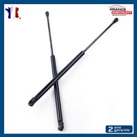 Pack Von 2 Zylinder FüR Kofferraum Hintere FüR VW Golf 4 Bora Passat B5 Pause